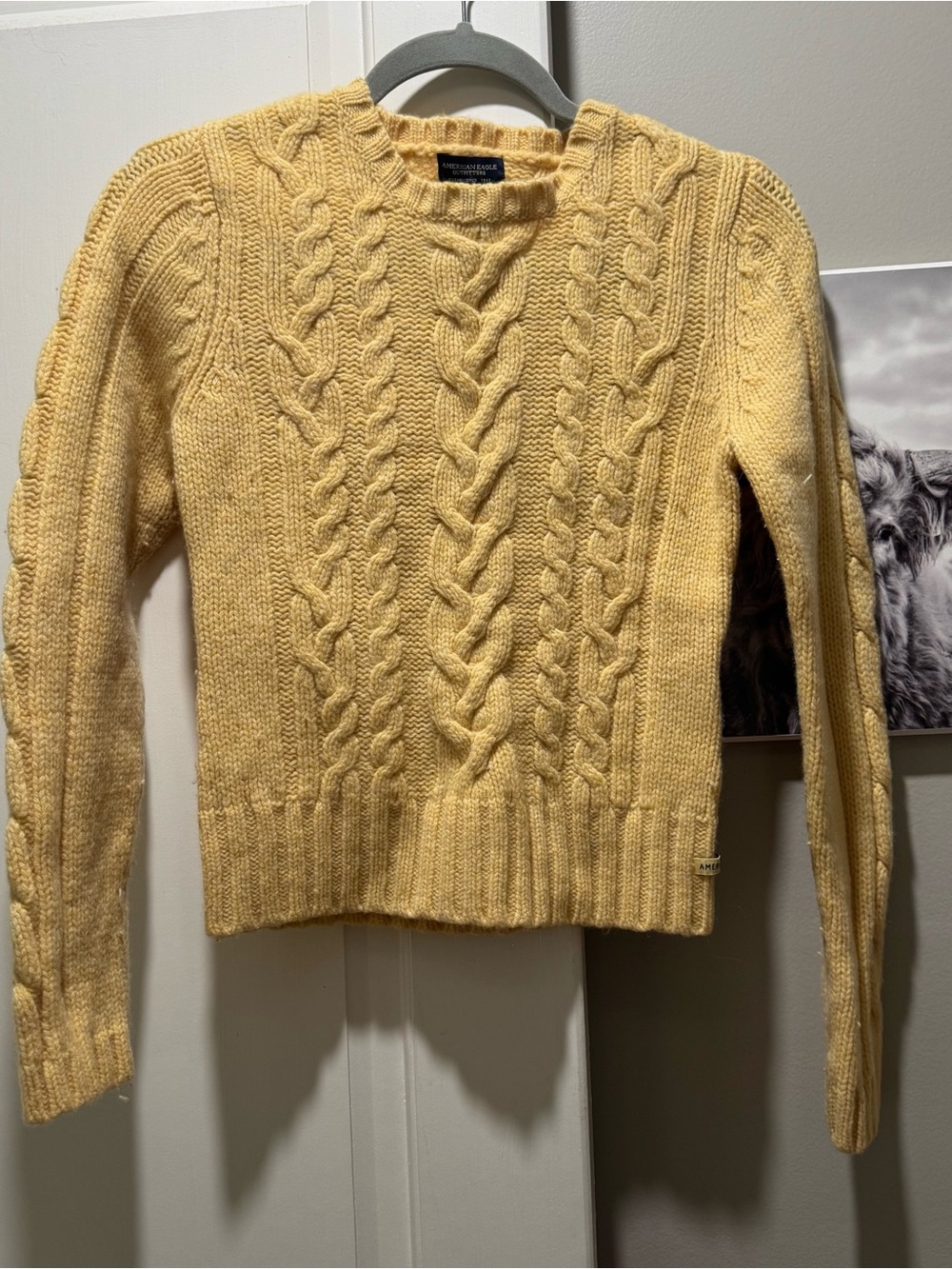 American eagle sweater